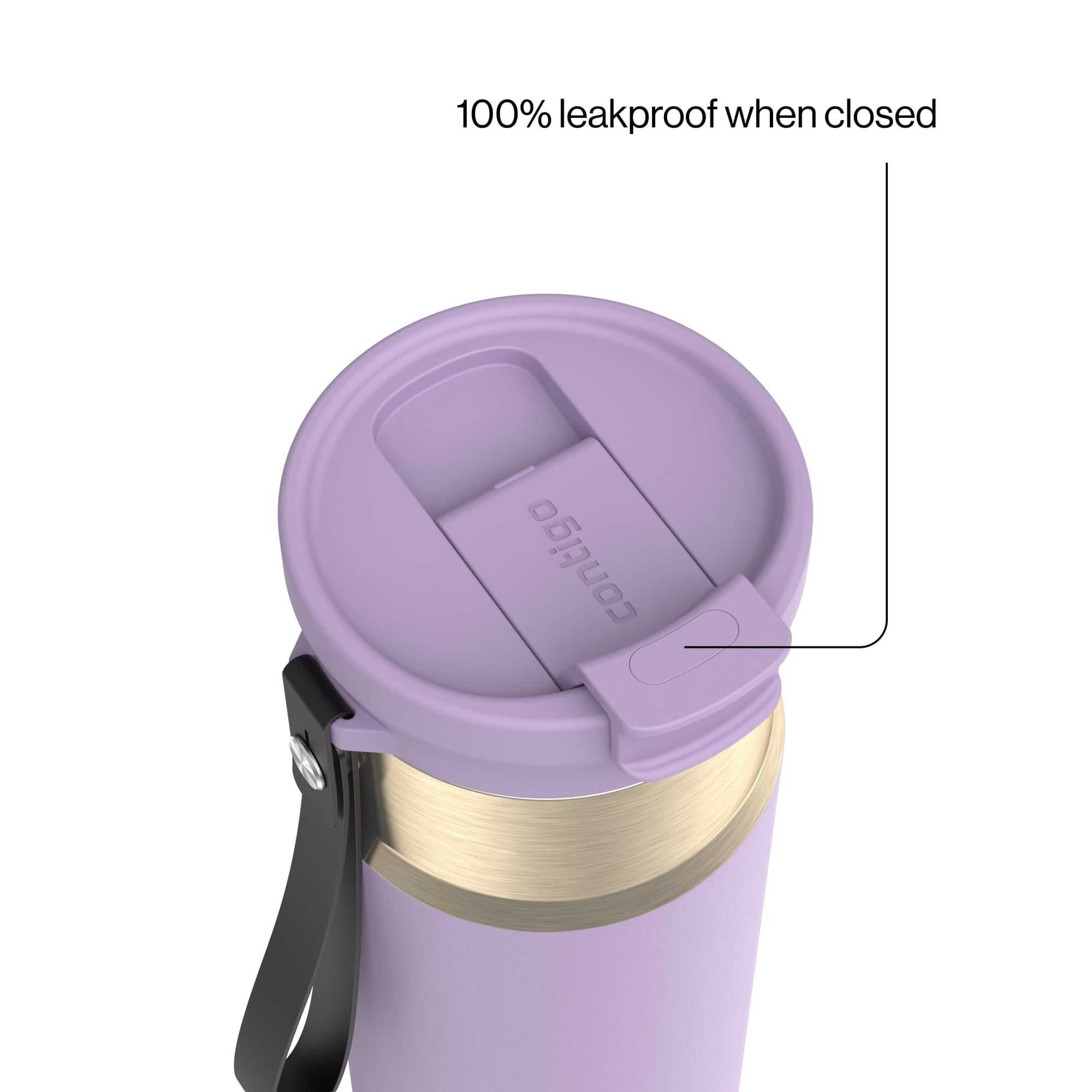 Contigo DualSip 24 oz Leakproof Insulated Water Bottle with Carrying Strap and 2-Way Lid - 9XU3