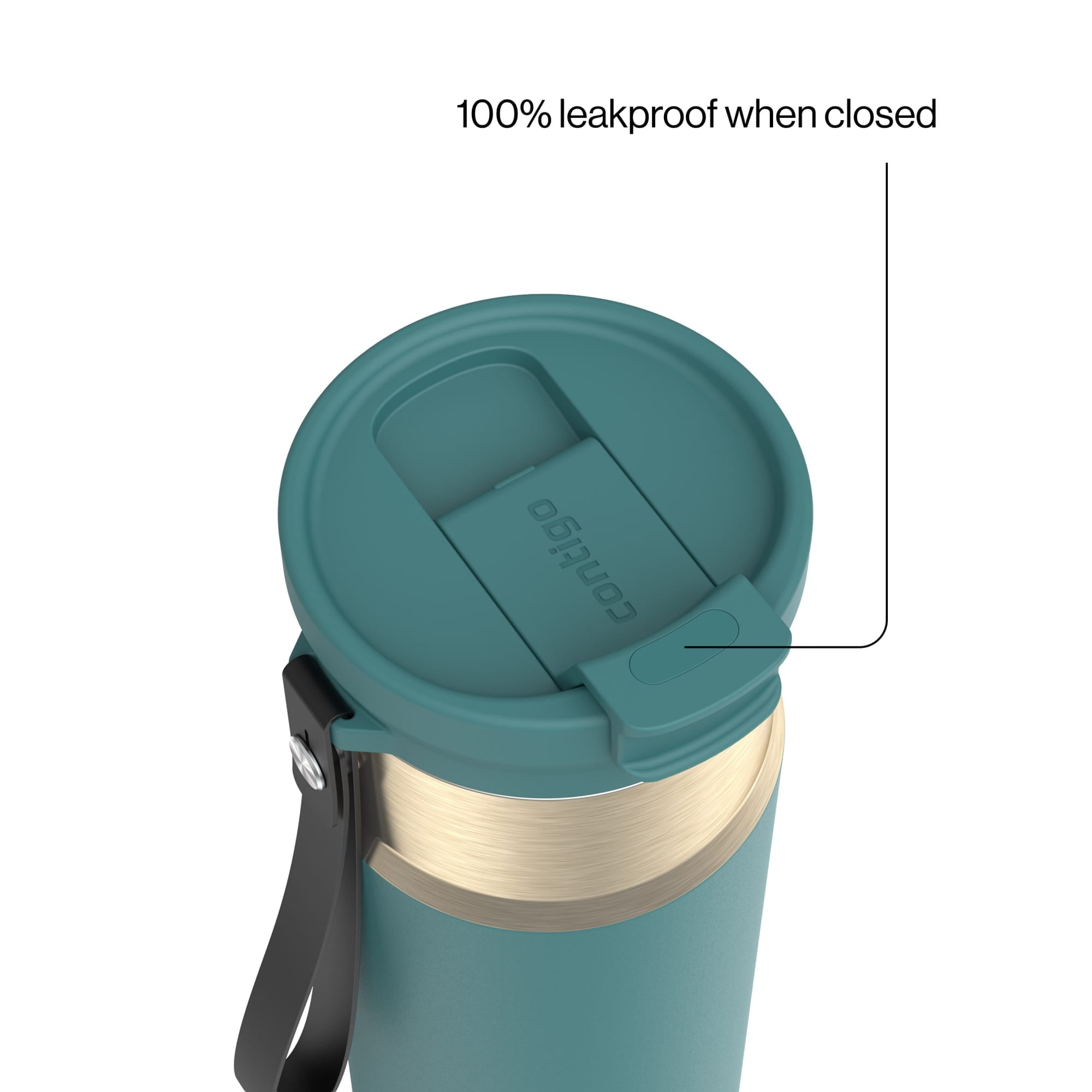 Contigo DualSip 24 oz Leakproof Insulated Water Bottle with Carrying Strap and 2-Way Lid - 9XU3
