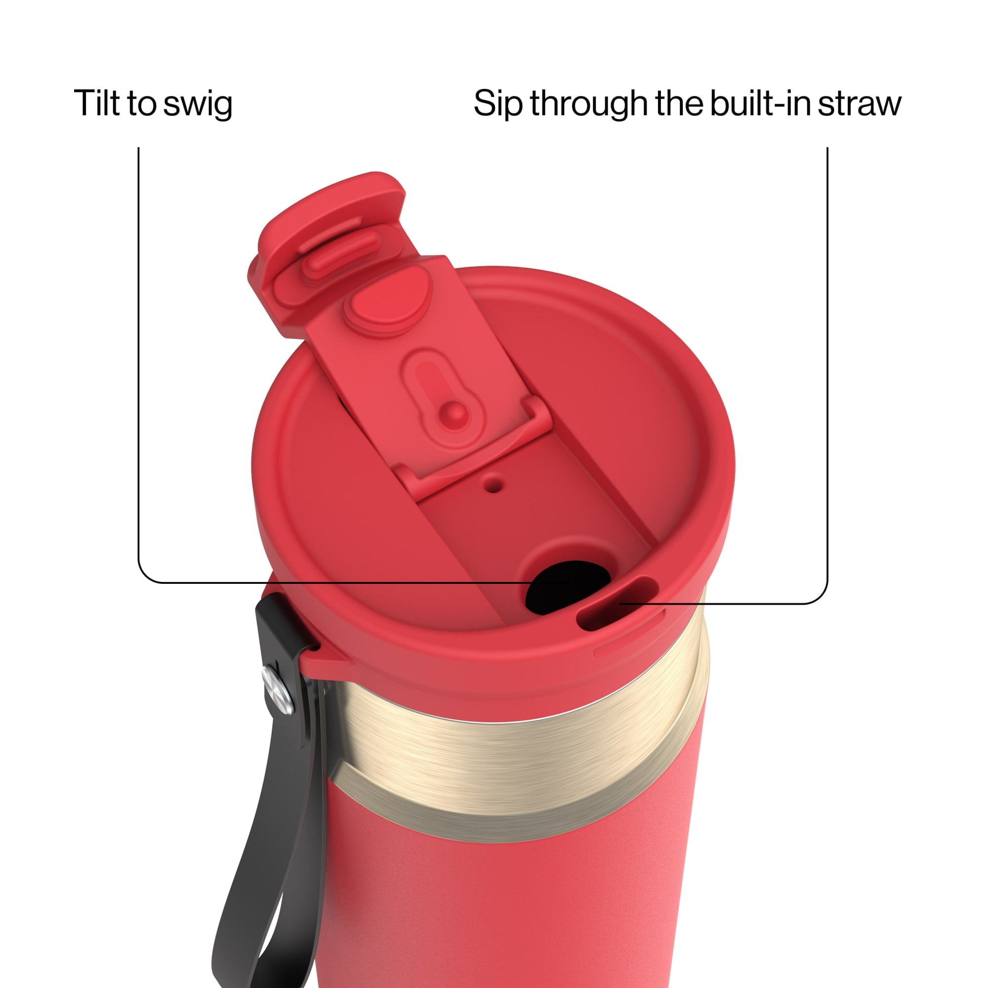 Contigo DualSip 24 oz Leakproof Insulated Water Bottle with Carrying Strap and 2-Way Lid - 9XU3