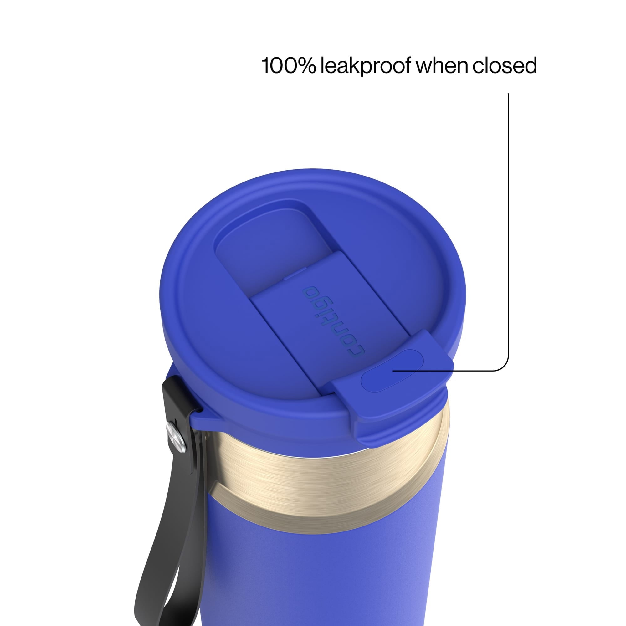 Contigo DualSip 24 oz Leakproof Insulated Water Bottle with Carrying Strap and 2-Way Lid - 9XU3