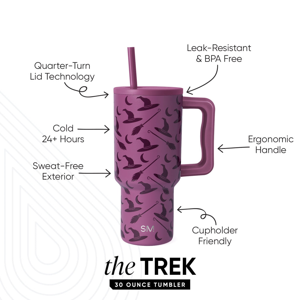 Simple Modern 30 fl oz Insulated Stainless Steel Trek Tumbler with Straw Lid | Seaglass Sage and Cream Checkmate - ON24
