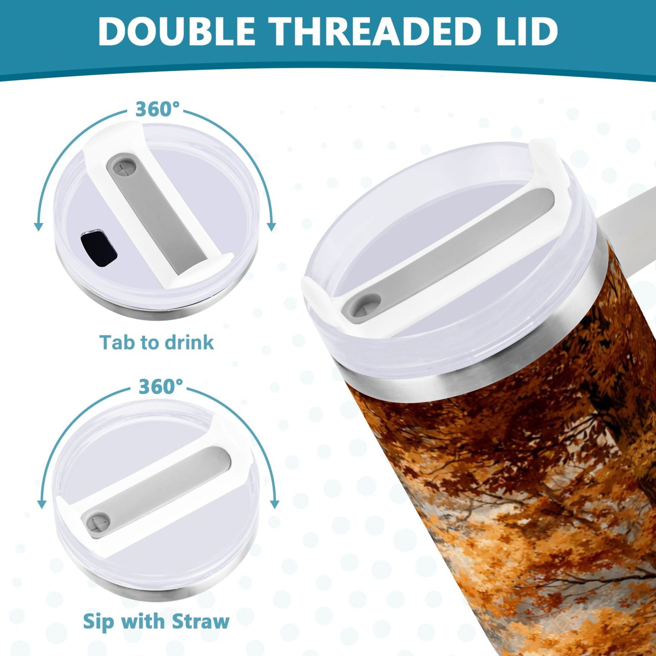 30 oz Insulated Stainless Steel Tumbler Double Wall Stainless Steel Tumbler with 2-Way Drinking Beautiful Autumn Forest - QXJE