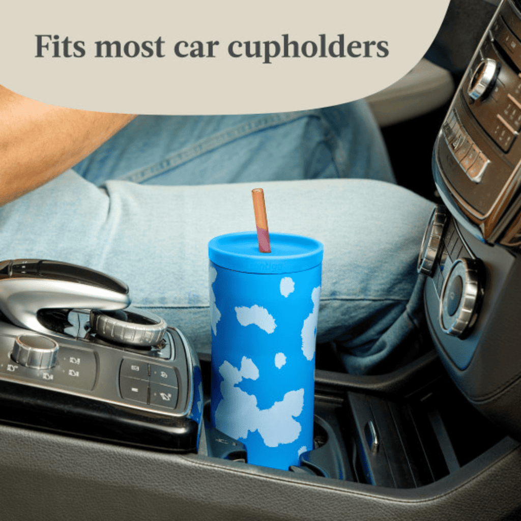 Contigo x Ally Love Streeterville 2.0 Stainless Steel Tumbler with Straw, 24 oz, Stellar Jay - RNNP