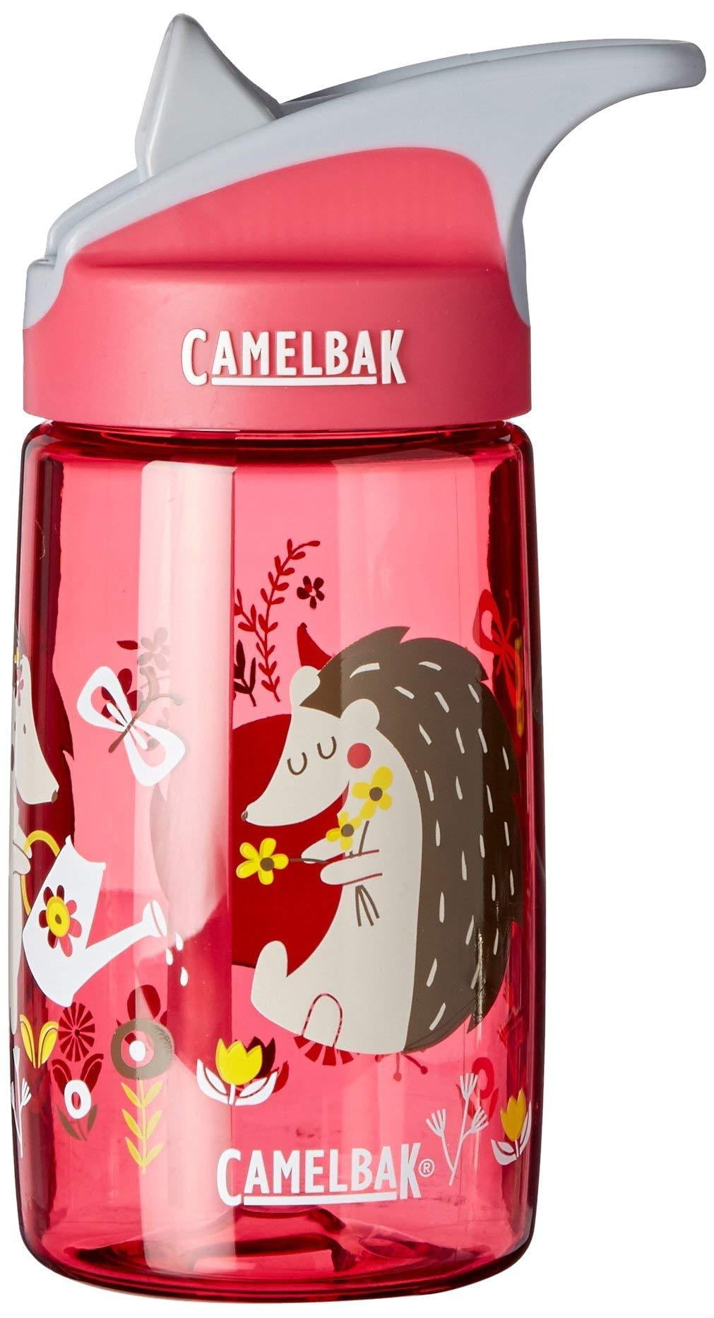 CamelBak Eddy Kids BPA Free Water Bottle Airplane Bandits Bottle Only - 33YV