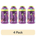 (4 pack) Contigo Kids Water Bottle with Redesigned AUTOSPOUT Straw, 14 oz, Grape Forest Haven - FUNH