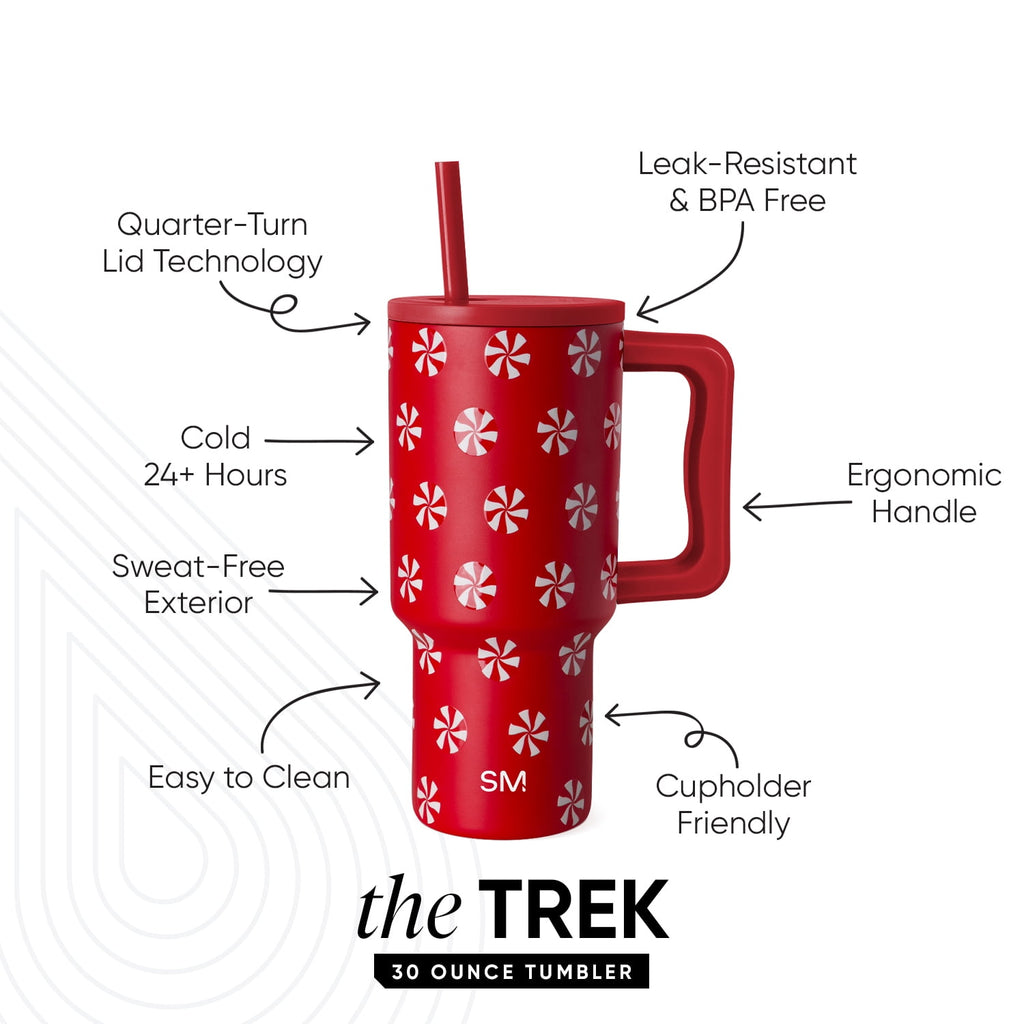 Simple Modern 30 fl oz Insulated Stainless Steel Trek Tumbler with Straw Lid | Seaglass Sage and Cream Checkmate - ON24