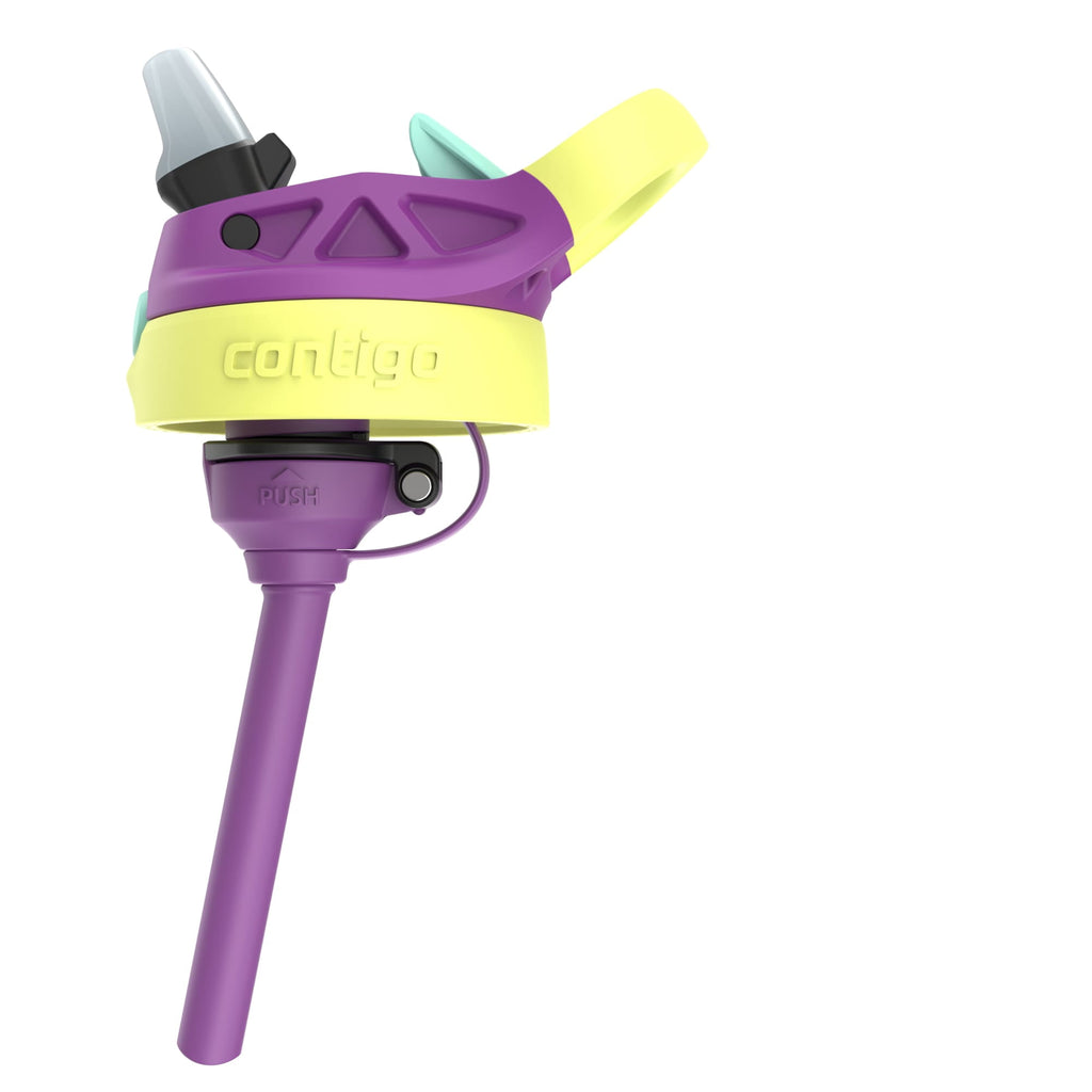 Contigo Kids Water Bottle with Redesigned AUTOSPOUT Straw, 14 oz, Grape Forest Haven - 13PG