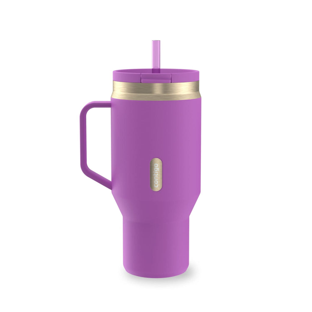 Contigo SnapSeal Leakproof Stainless Steel Reusable Water Bottle Tumbler with Side Handle, Black/Bronze, 30 oz - UKGK