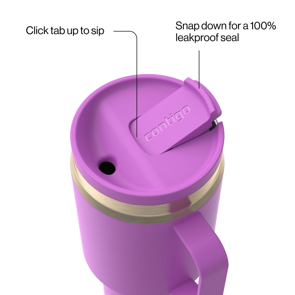 Contigo SnapSeal Leakproof Stainless Steel Reusable Water Bottle Tumbler with Side Handle, Black/Bronze, 30 oz - UKGK