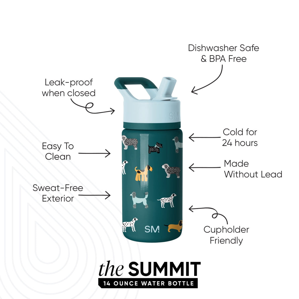 Simple Modern 14oz Summit Water Bottle with Straw Lid | Confetti - QTJU