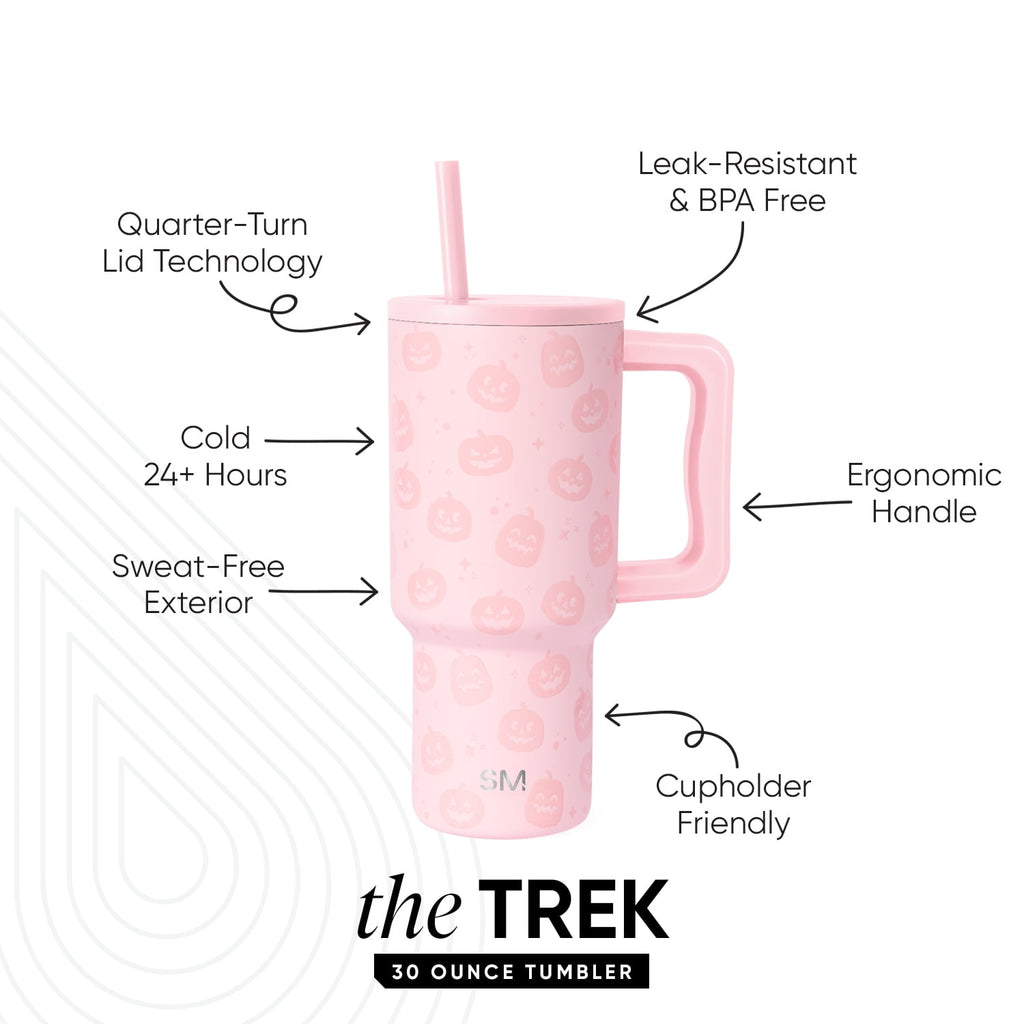 Simple Modern 30 fl oz Insulated Stainless Steel Trek Tumbler with Straw Lid | Seaglass Sage and Cream Checkmate - ON24