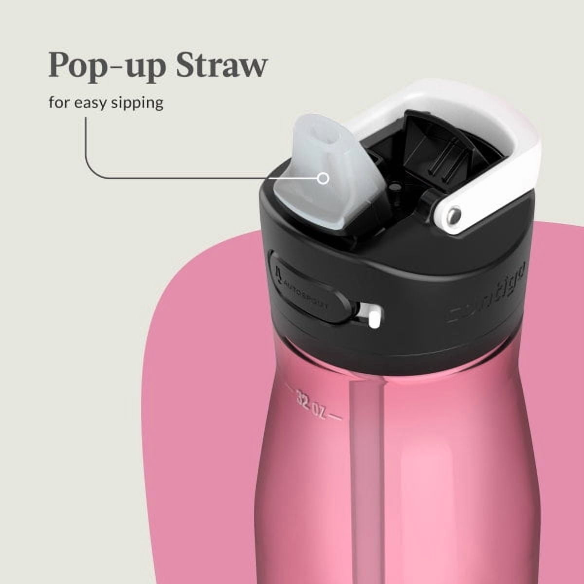 Contigo Ashland 2.0 32 oz Licorice BPA Free Water Bottle - 4UF0