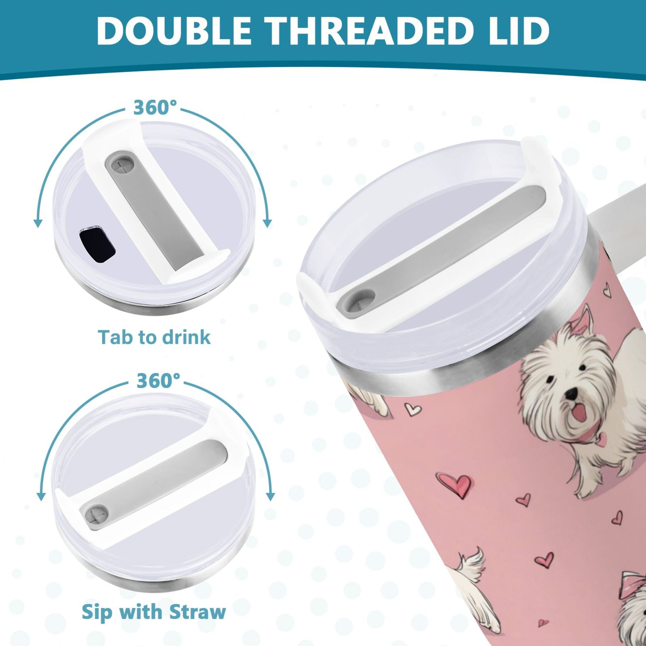 30 oz Insulated Stainless Steel Tumbler Double Wall Stainless Steel Tumbler with 2-Way Drinking Dogs Wearing Bows - DQZ2